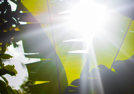 Massima funzionalità